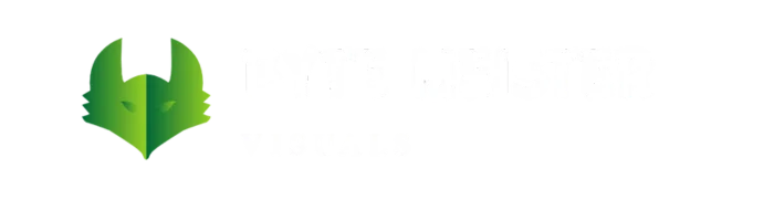Byte Meister Visuals